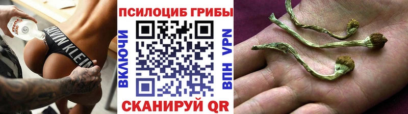 Галлюциногенные грибы ЛСД Шиханы